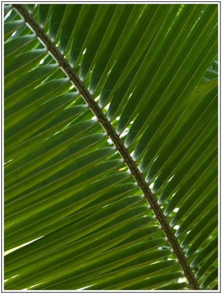 A001JPEG 12 A001JPEG 12