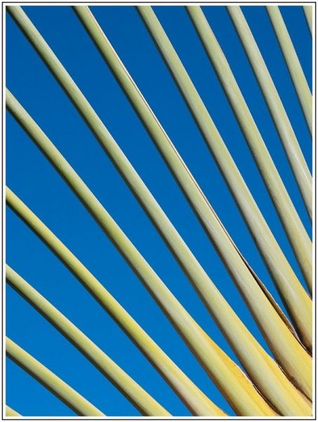 A001JPEG 2 A001JPEG 2