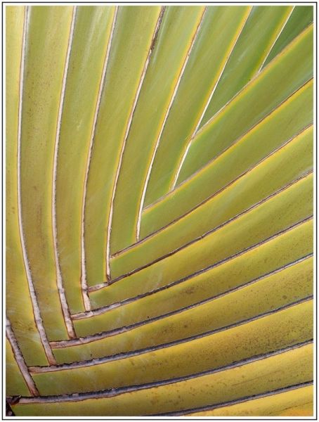 A001JPEG 3 A001JPEG 3