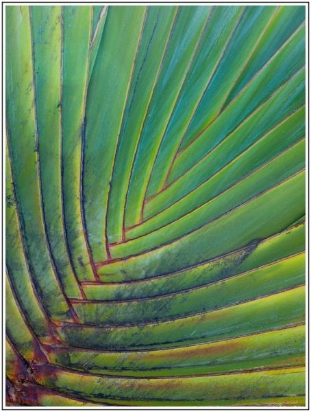 A001JPEG 4 A001JPEG 4