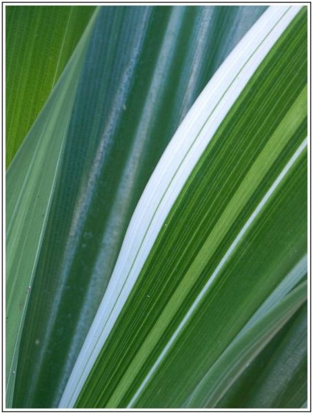 A001JPEG 6 A001JPEG 6