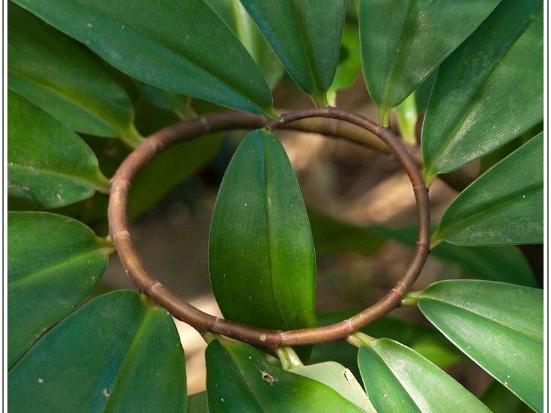 A001JPEG 7 A001JPEG 7