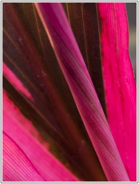 A001JPEG 8 A001JPEG 8