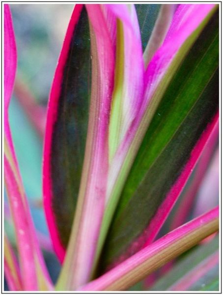 A001JPEG 9 A001JPEG 9