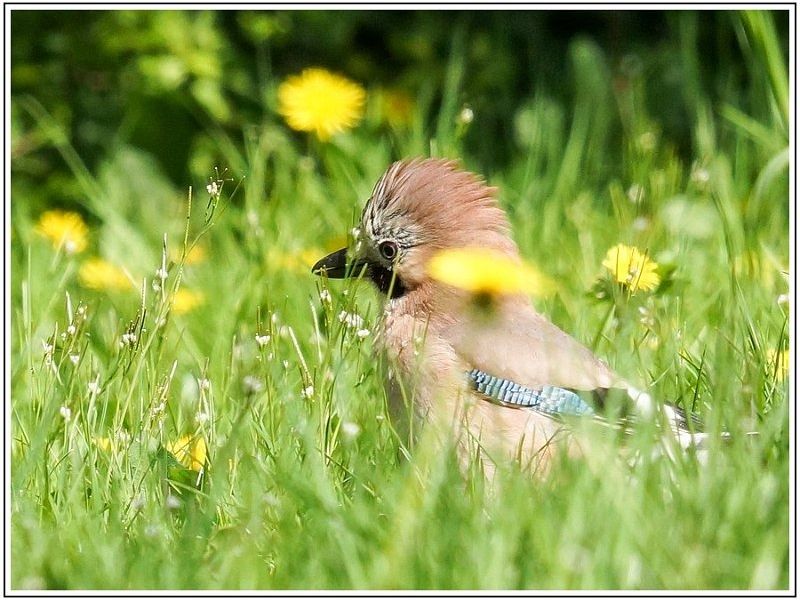 AMP DSC00040 AMP DSC00040