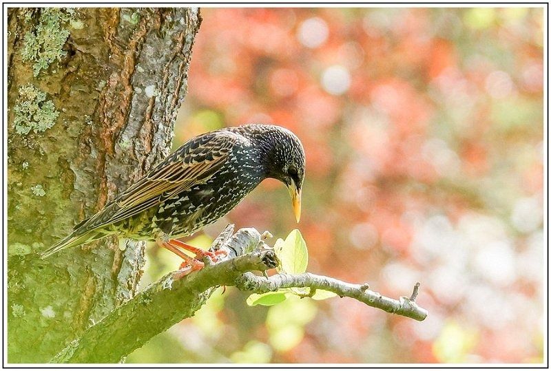 AMP DSC00225 AMP DSC00225