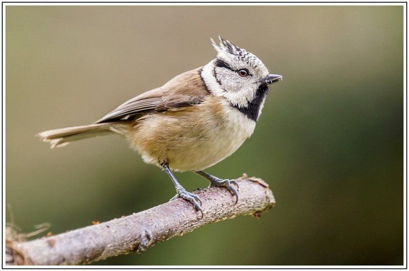 AMP DSC00818 AMP DSC00818