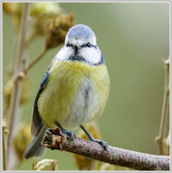 AMP DSC00834 AMP DSC00834