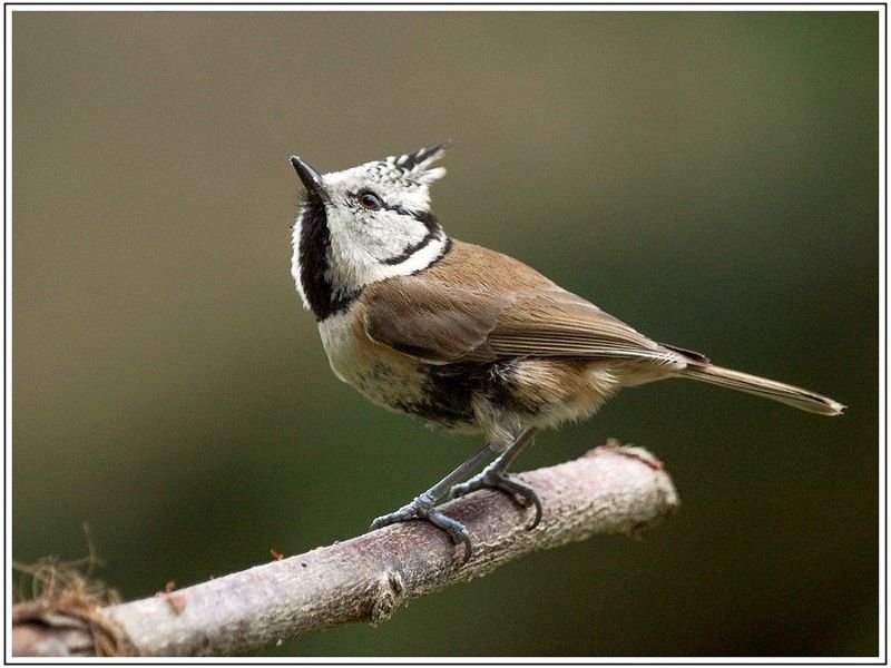 AMP DSC00926 AMP DSC00926