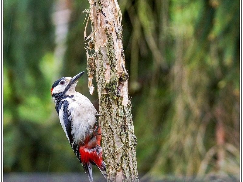 AMP DSC03540 2 AMP DSC03540 2