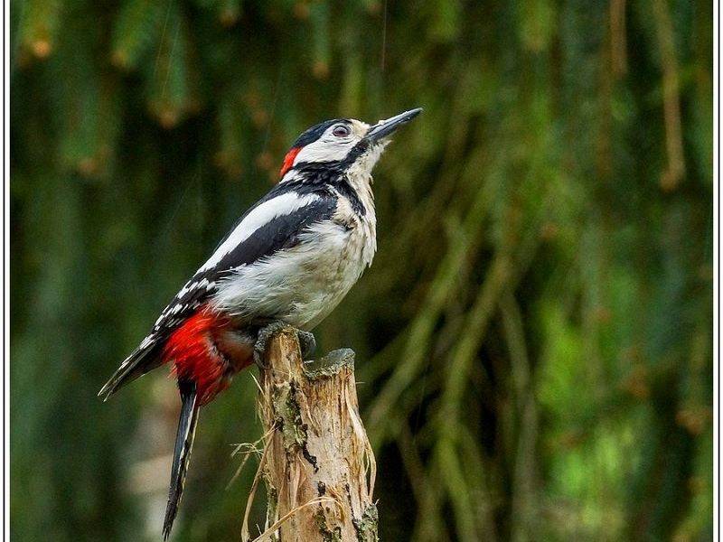 AMP DSC03547 AMP DSC03547