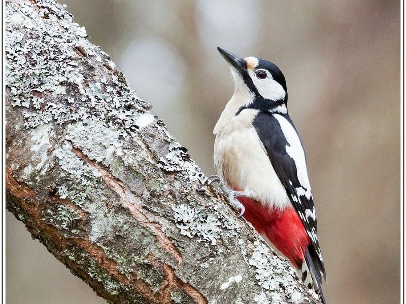 AMP DSC05474 AMP DSC05474