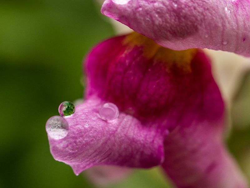 AMP DSC06711 2 AMP DSC06711 2