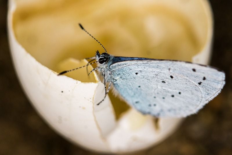 AMP DSC06840 2 AMP DSC06840 2