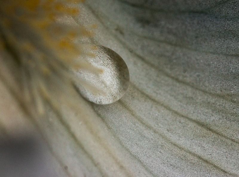 AMP DSC07789 2 AMP DSC07789 2