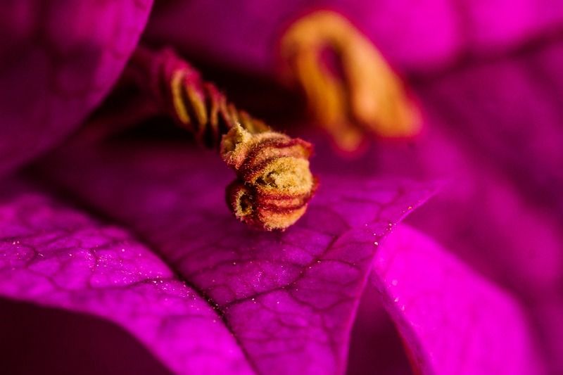 AMP DSC08491    AMP DSC08491