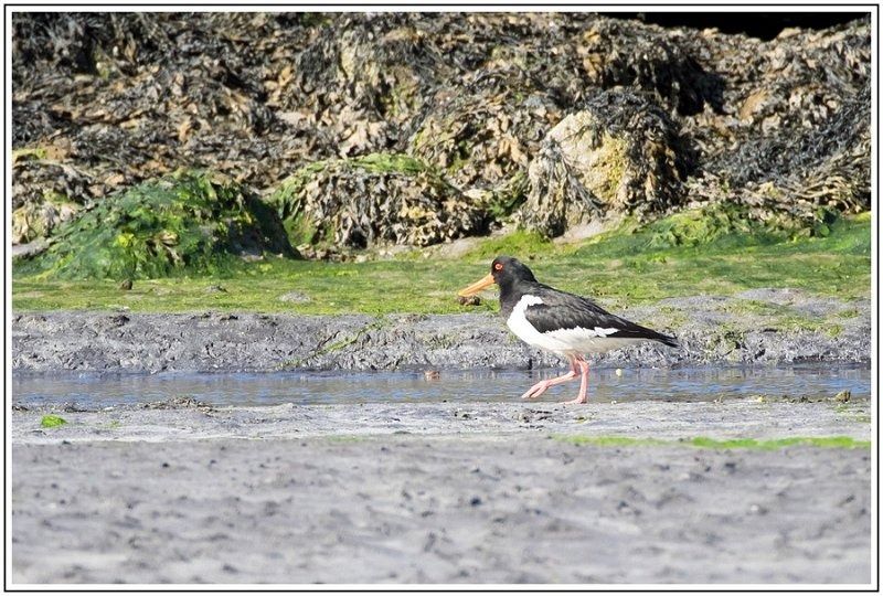 CJ  7221610 CJ  7221610