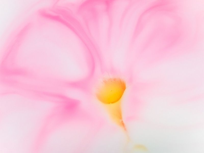 CJ 1030369 R CJ 1030369 R