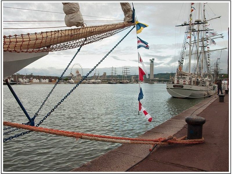 CJ A151981 101 CJ A151981 101