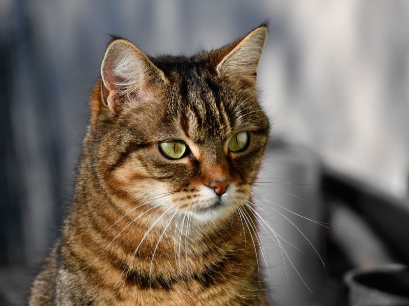 SL.DSC0375 SL.DSC0375