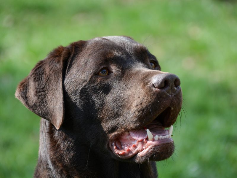 sl.DSC 0694 sl.DSC 0694