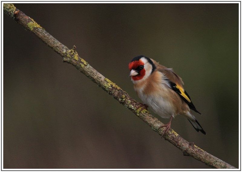 GN CIMG 1504 2 GN CIMG 1504 2