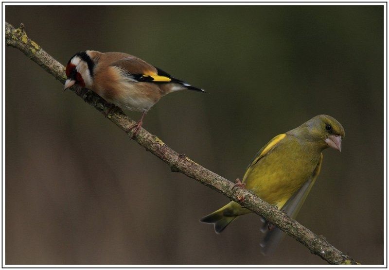 GN CVIMG 1505 2 GN CVIMG 1505 2