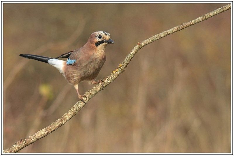 GN GIMG 1545 2 GN GIMG 1545 2