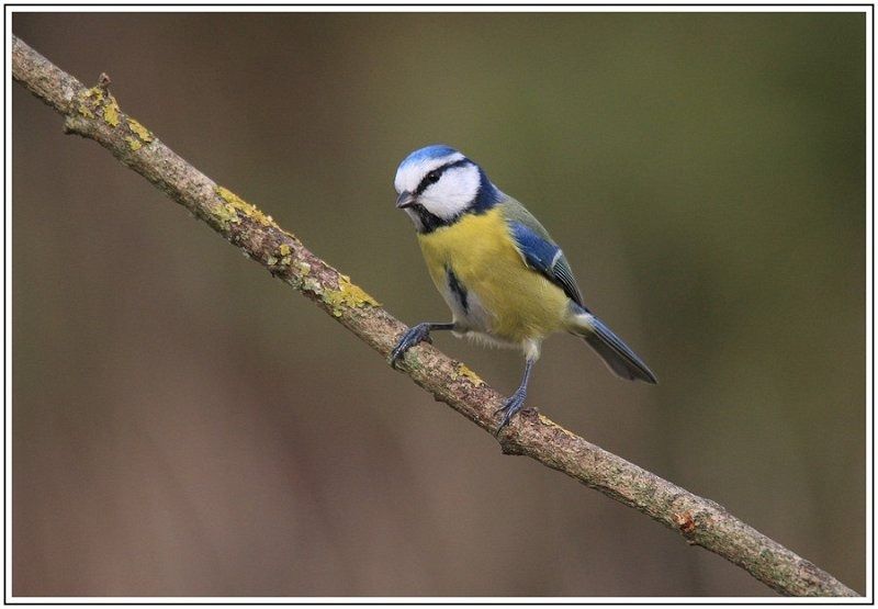 GN MBIMG 1518 2 GN MBIMG 1518 2