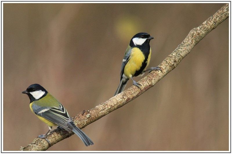 GN MCIMG 1529 2 GN MCIMG 1529 2