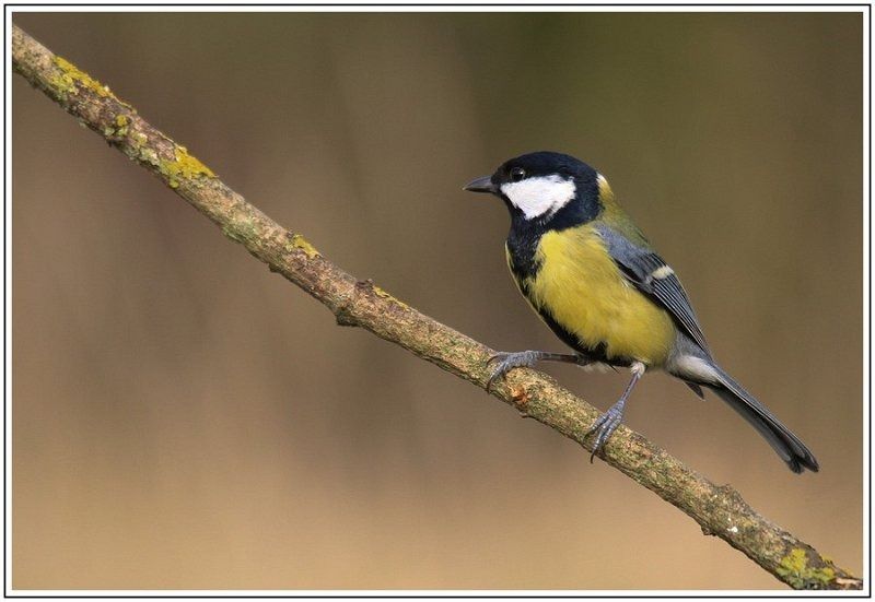 GN MCIMG 1531 2 GN MCIMG 1531 2