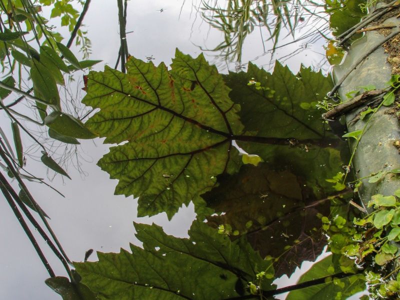 gn 7052 2 2 gn 7052 2 2