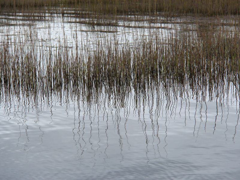 gn img 3057 2 gn img 3057 2