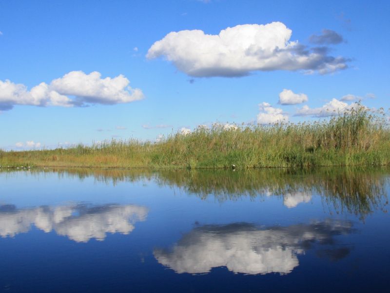 gn img 4581 2 gn img 4581 2