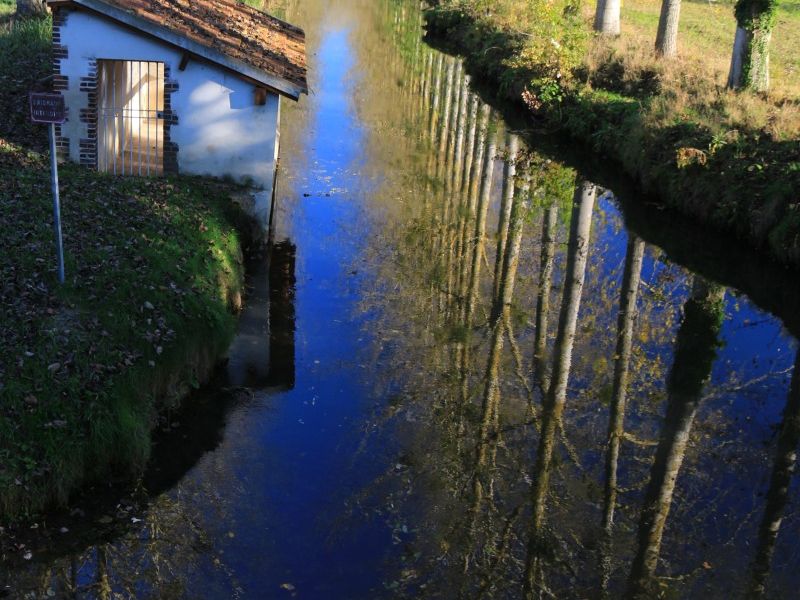 gn img 7237 2 gn img 7237 2