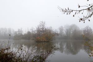 mgl6480 2  mgl6480 2