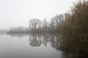 mgl6573 2  mgl6573 2