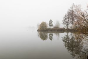 mgl6575 2  mgl6575 2
