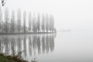 mgl6681 2  mgl6681 2