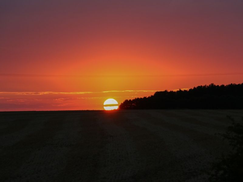 img 0510 2 img 0510 2