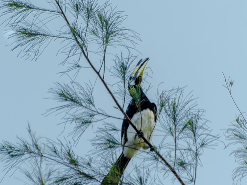 PhG DSC1904 PhG DSC1904