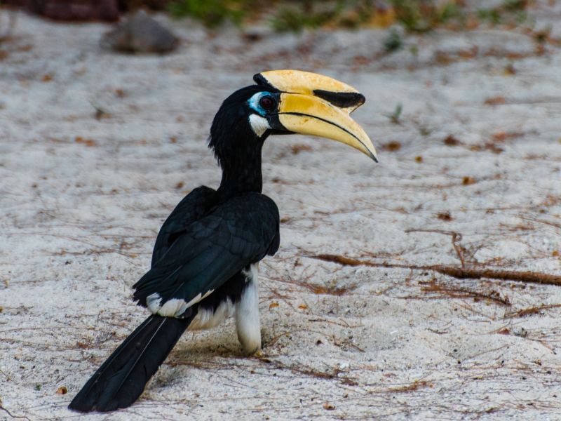 PhG DSC1934 PhG DSC1934