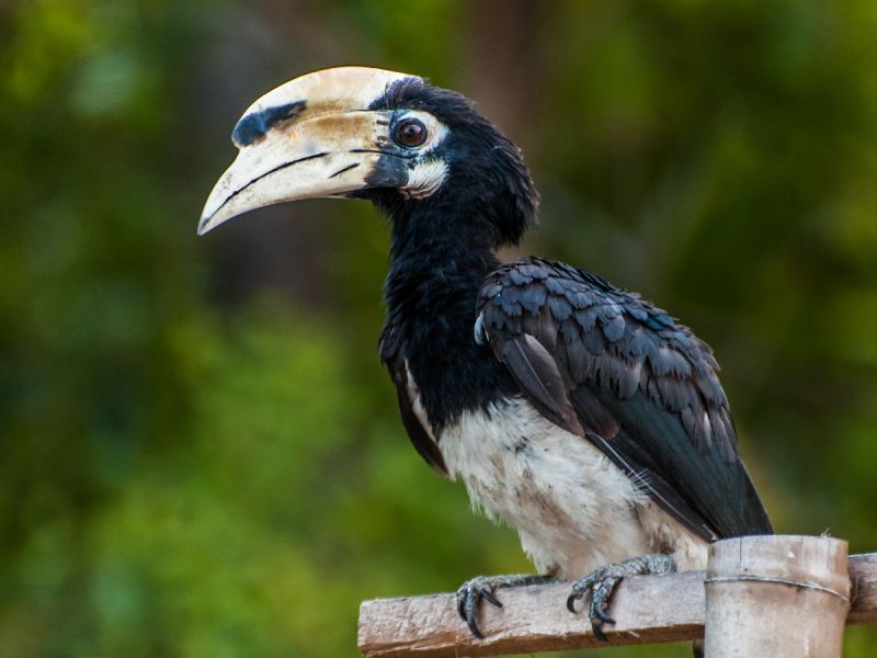 PhG DSC1944 PhG DSC1944