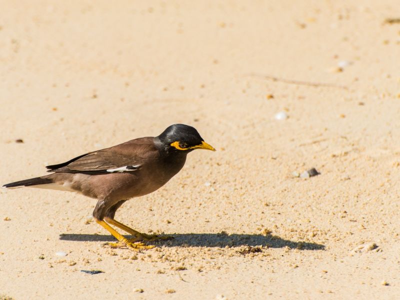 PhG DSC1967 PhG DSC1967