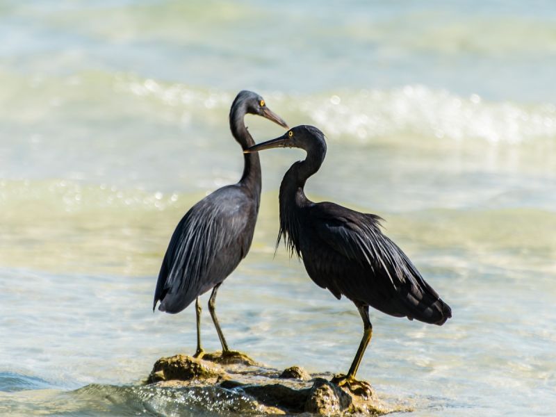 PhG DSC1974 PhG DSC1974