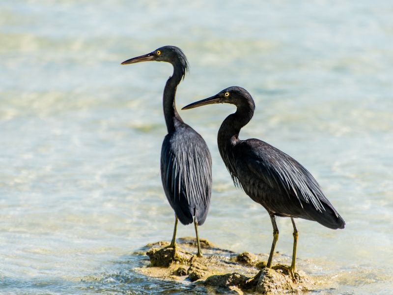 PhG DSC1983 PhG DSC1983