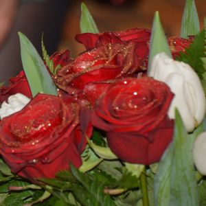 sl.DSC 2283 sl.DSC 2283