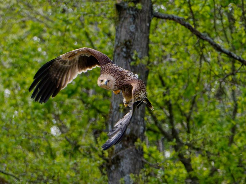 P1139446 DxO P1139446 DxO