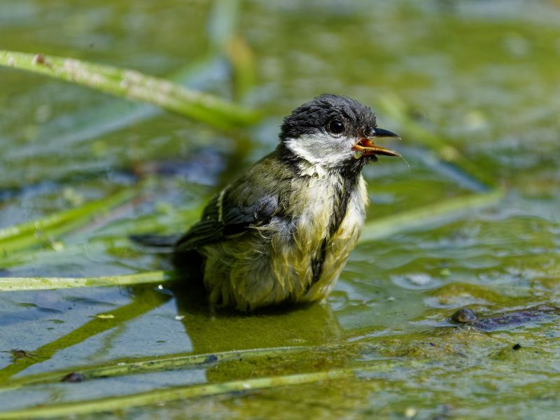 P1140845 DxO P1140845 DxO