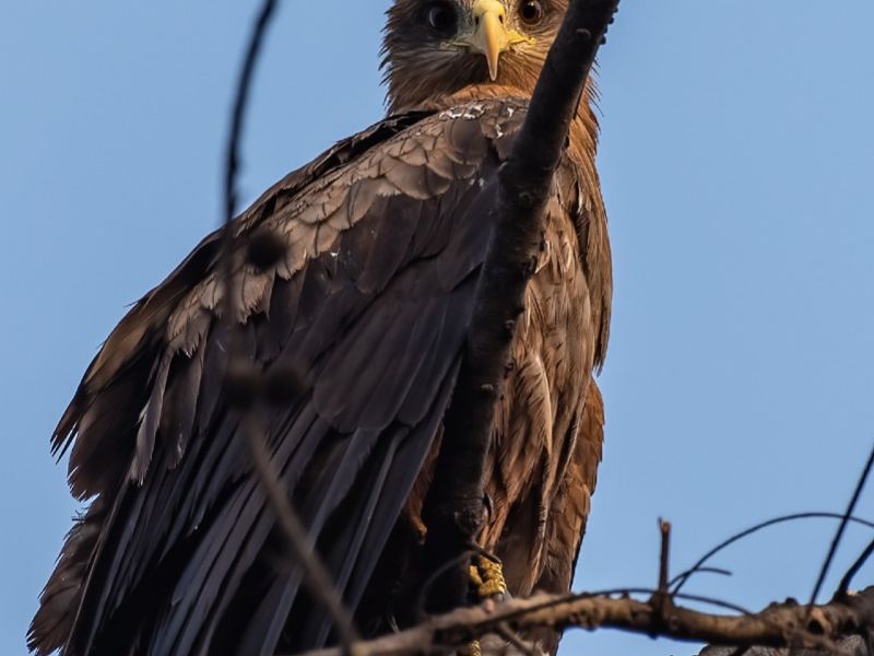 24012023 DSC 6997 NEF DxO DeepPRIME 24012023 DSC 6997 NEF DxO DeepPRIME